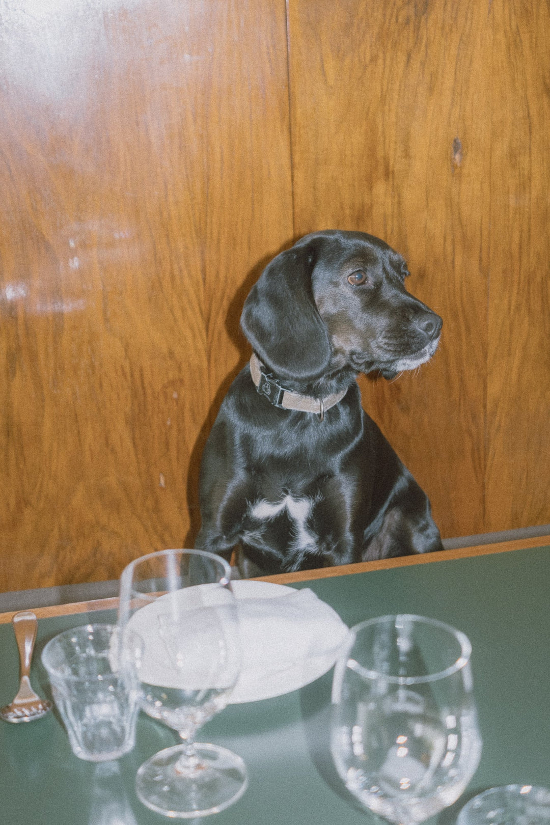 Journal • Café Service