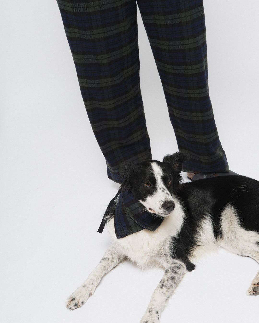 Pyjama Brushed Twill Check Blue