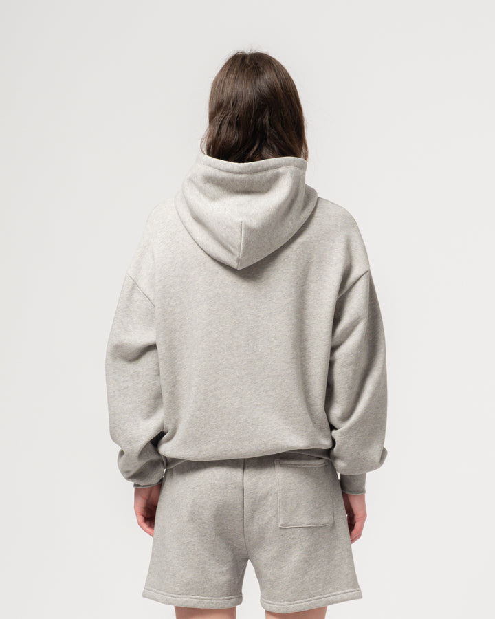 College Sweater American Fleece Grey Melange