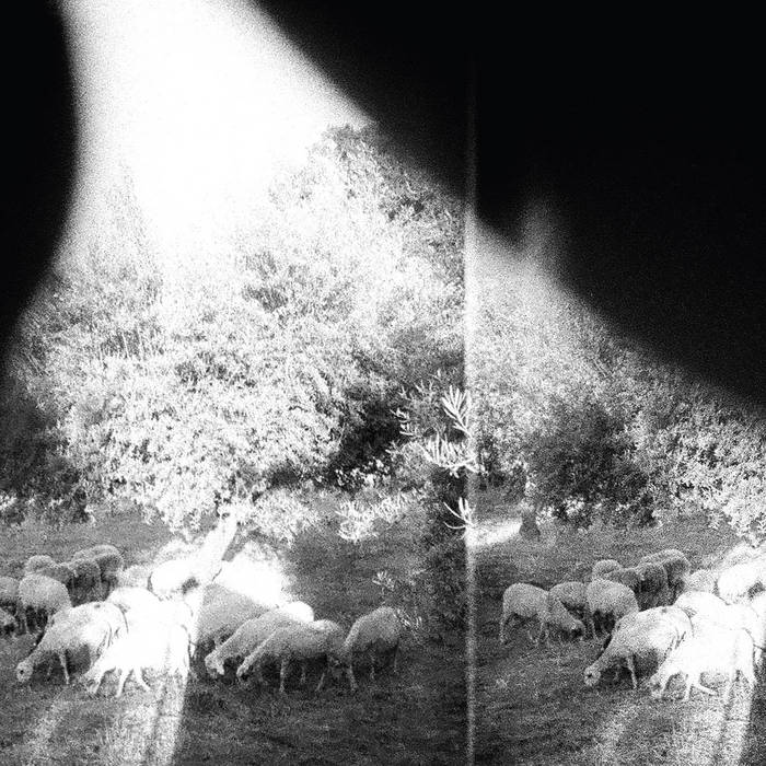 LP - Godspeed You Black Emperor!: Asunder, Sweet & Other Distress